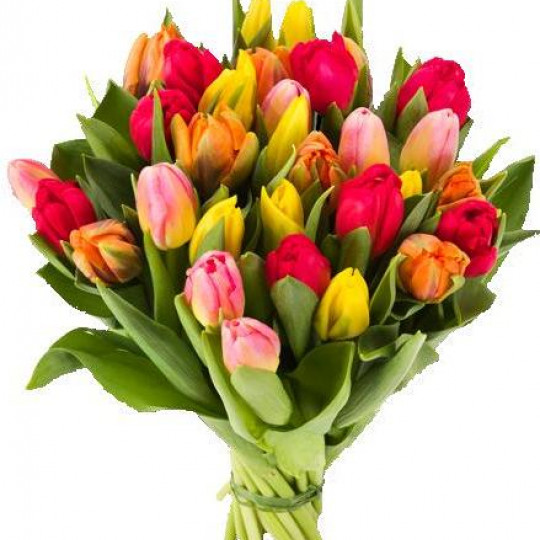 Букет 25 разноцветных тюльпанов
