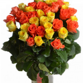 Orange and yellow roses 50 cm
