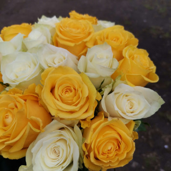 Белые и желтые розы 40 см. Измени количество роз в букете